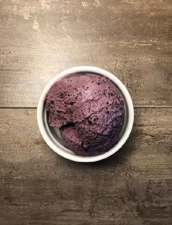 Blueberry froyo - the meal prep manual