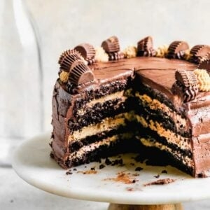Chocolate peanut butter cake