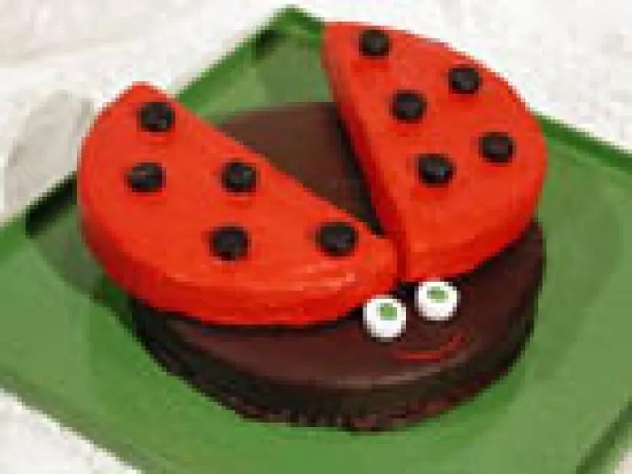 Ladybug cake recipe