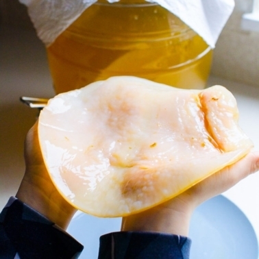 How to make kombucha scoby