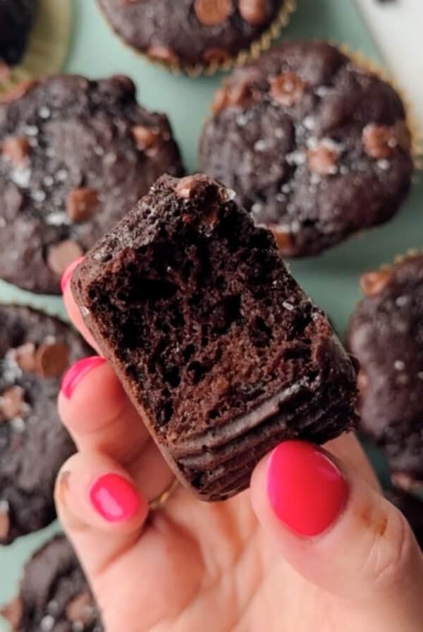 Chocolate kodiak protein muffins