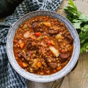 Spanish lentil stew