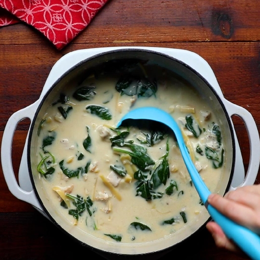 Easy one-pot chicken alfredo soup