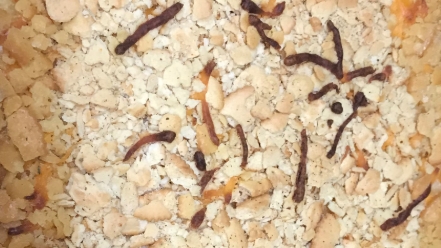 Mel’s southern mac and cheese