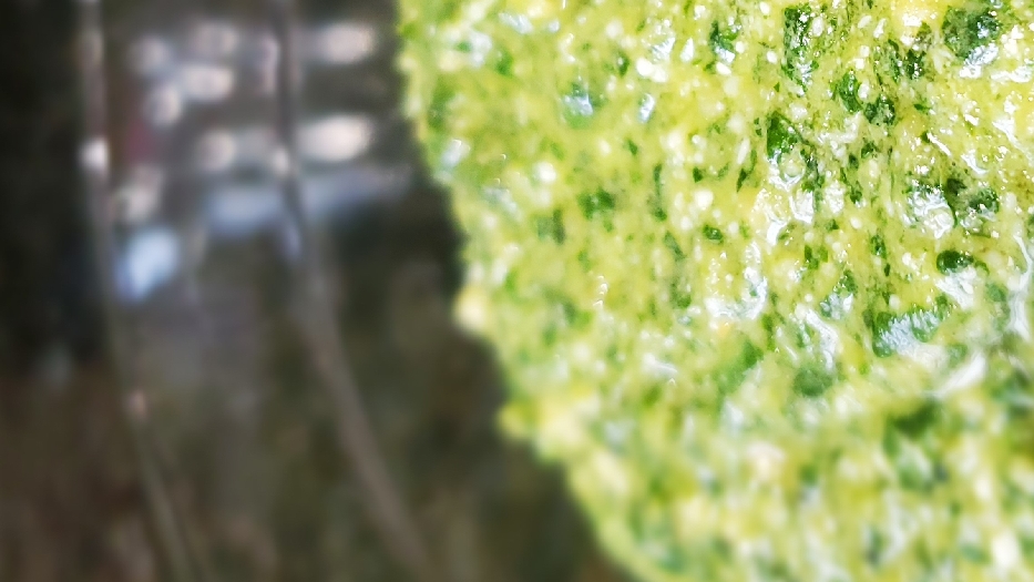 Fresh basil & parmesan pesto