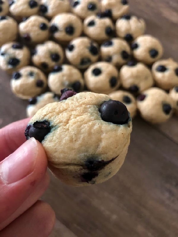 Lil blueberry protein pancake bites - the meal prep manual
